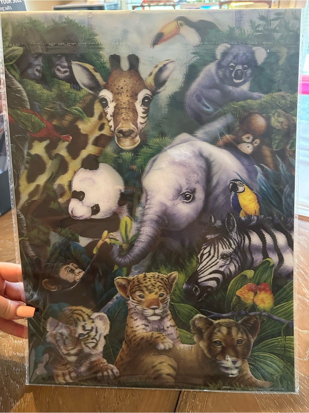 3D Colorful Safari Animals Canvas Art Print - Multicolor